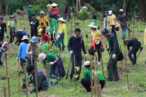 Kontribusi Masyarakat dalam Mempertahankan Hutan