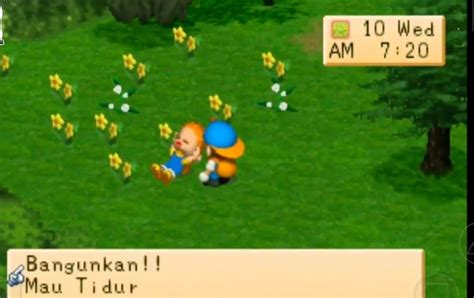Characters in Harvest Moon Ps2 Iso Bahasa Indonesia