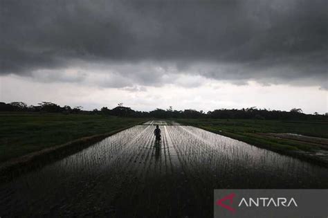 Hujan Ringan Indonesia