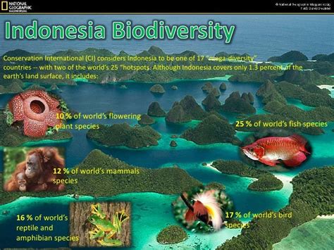 Indonesia Biodiversity