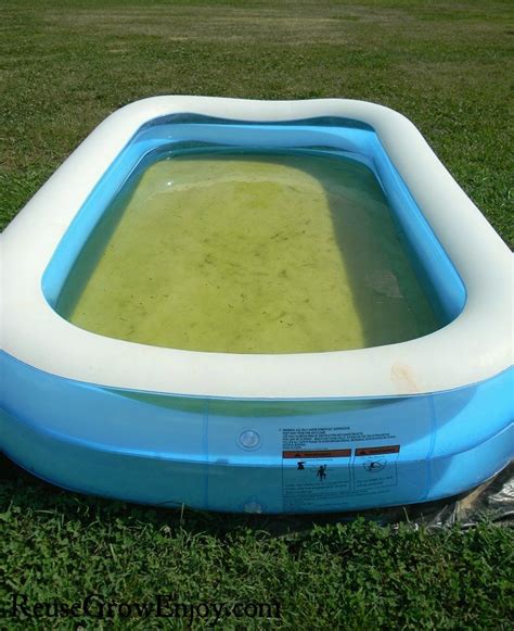 Keep your inflatable pool ring clean