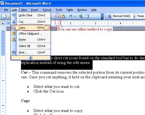 Microsoft Word tombol cut copy paste