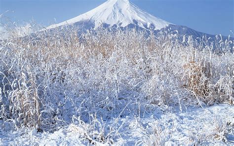 Musim Dingin di Gunung Fuji