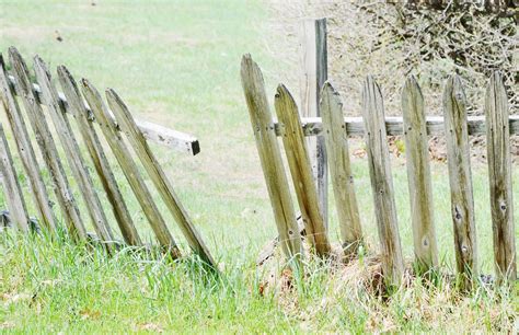 Negligence Broken Fence