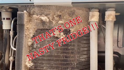 Samsung Refrigerator Coil Cleaning