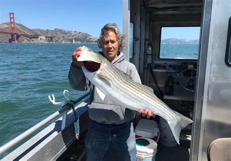 San Francisco fishing image