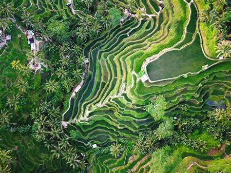 Shutterstock Indonesia