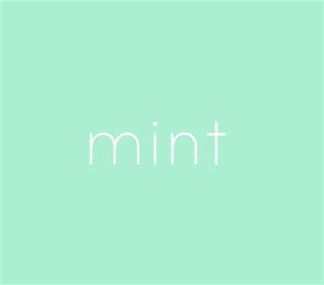 warna mint