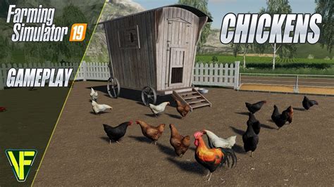 Chickens