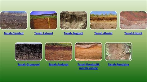 Jenis-jenis Tanah di Indonesia