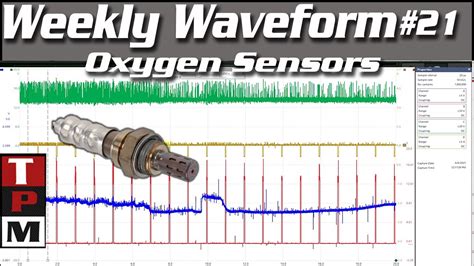 oxygen sensor signal circuit image