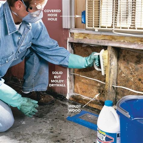 Preventing Mold and Mildew on Water Damaged Wood