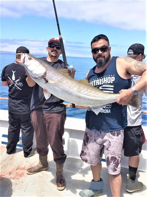 Ventura Sport Fishing: Catching Your Own Dinner