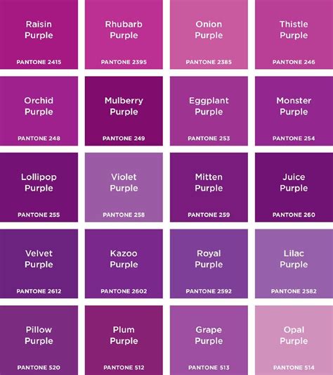 Perbedaan Warna Lilac dan Ungu