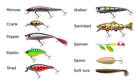 When to Use Different Types of Swimbaits