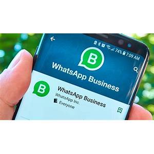 Whatsapp Business Indonesia