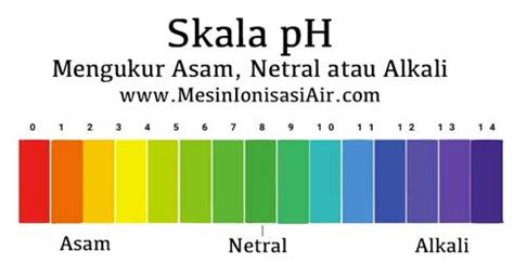 Menjaga Kadar Asam dan Basa dalam Tubuh