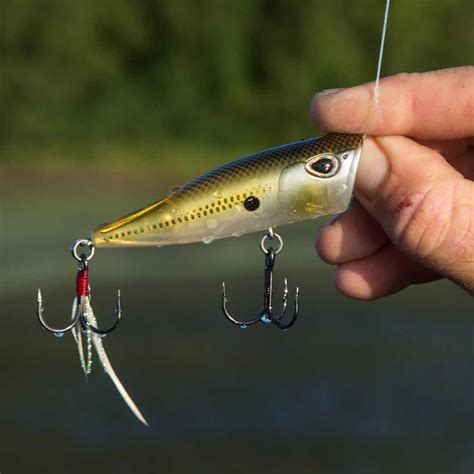 topwater lures fishing