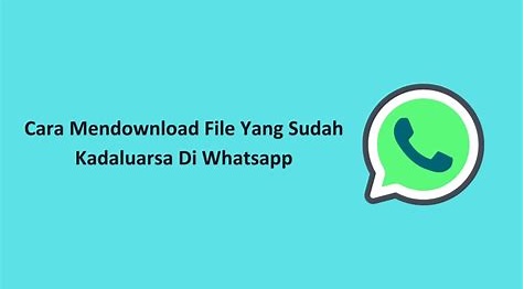 Cara Mengunduh Foto WhatsApp dengan Aplikasi Khusus