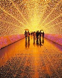 Light Festival in Japan