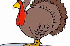 thanksgiving clipart clip library sad turkey