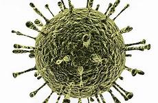 norovirus outbreak springfield gop convention noro enterovirus d68 delegation california reports illinois illustration virus sickens spread sickened stock cdc tips