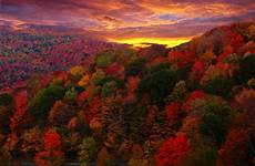 foliage forestwander sunsets sofferenza umana wyoming wallpapersafari montagne automne hills winding breathtaking horizon