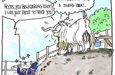 goat billy bewildering cartoon hindi comic save idiot hoofs goats comics