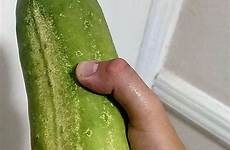 cucumber cucumbers large huge do jpeg permies