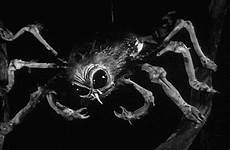 spider creepy giphy tingler 1960 auswählen