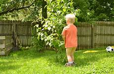tree pee boy kid yard usseek pissing children boys pees muh neighbor sneaking lemon ve been into their so off
