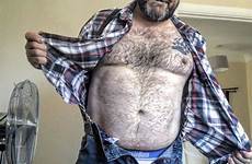 ursos peludos homens bear urso grandes grisalho roberto miguel