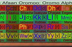 qubee oromo afaan alphabet oromoo