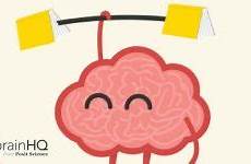 cerebro estimular entrenamiento cerebral funciona