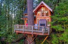 treehouse seattle sleeps hgtv nicer curbed elaborate unbelievable thearchitecturedesigns acre