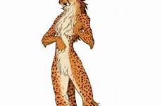 cheetah gepard warrior paperdoll wakfu pint cheetahs animais mythical