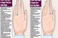 finger ring hands length ratio index fingers digit longer than 4d 2d testosterone personality which means palmistry vs if palm