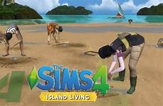 sims island living customizable 1020