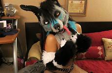 fursuit murrsuit yiff duke317 brothel