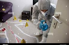 crime scene investigation forensic murder police people preservation work stock alamy evidences
