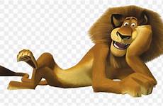 madagascar alex lion marty film favpng