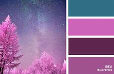 pink color purple dark combinations blue teal perfect palette palettes schemes colour amethyst super combination combos lila