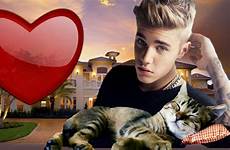 justin bieber kitten