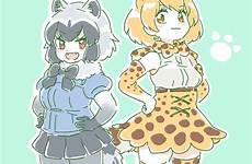 serval tbib kemono raccoon