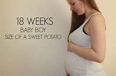 18 baby weeks week pregnancy size boy potato sweet