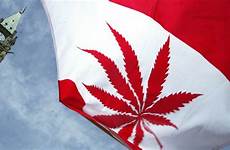 canada marijuana canadian pot flag legalization legalizing leaf forest closer step cannabis fire legal medical possession parliament alongside hill effect