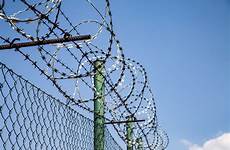 wire barbed fence barb stock publicdomainpictures