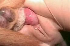 pussy vagina close penis entering squid womens dog fucking cum creampie girl nude hole guy lick