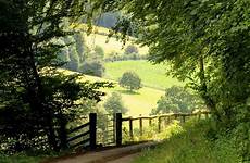 country landscape beautiful lane scenery nature aesthetic green countryside english summer photography england flickr living choose board house