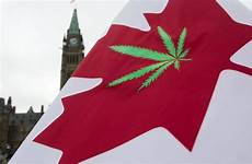 marijuana legalization government looks canada set canadian pot prices order mail vary provinces among rules different than